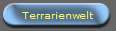 Terrarienwelt